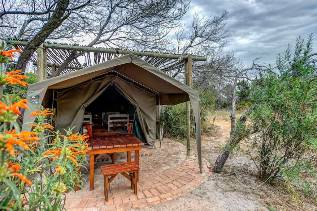 !Khwa Ttu bush camp, one of the Cape Town Campsites