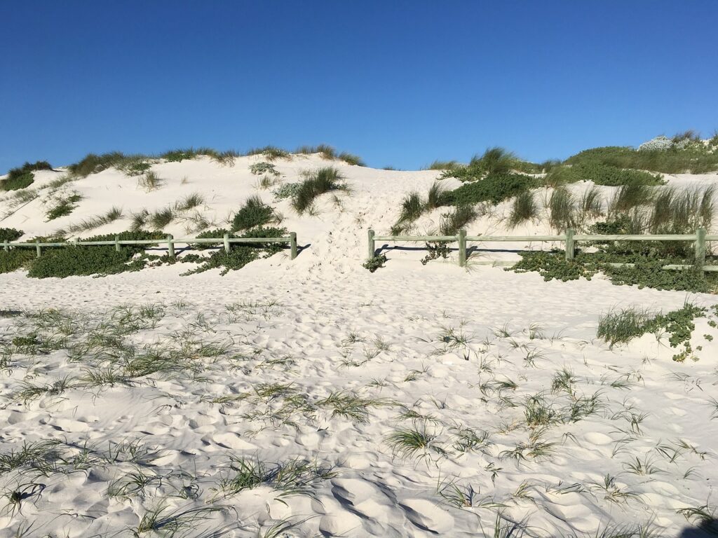 path on fine white sand leading over a dune with green plants growing on it, a fine example of what Cape Town Beaches have to offer
