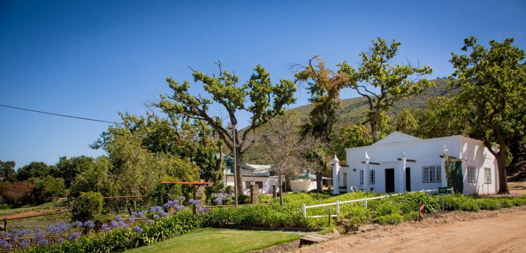 A beautiful cottage next to a dirt road, surrounded by beautiful gardens and mountains, an example of what this Paarl accommodation has to offer