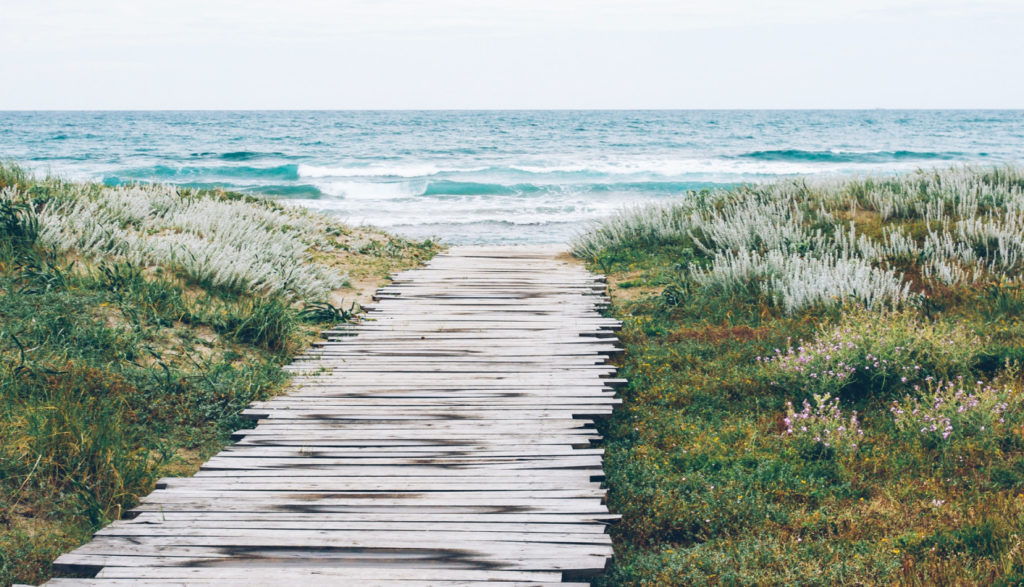 A wood plank path leads to the beach, the ocean and waves are visible just ahead, another great spot in this SAN park