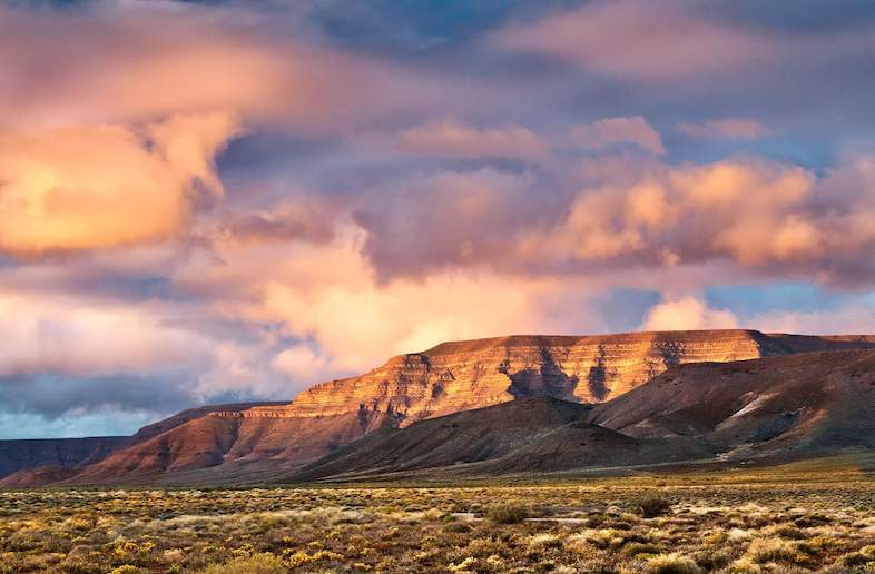 A beautiful area of veld with mountains in the distance catching the sun, creating a stunning spectacle that can only be seen at this SAN park