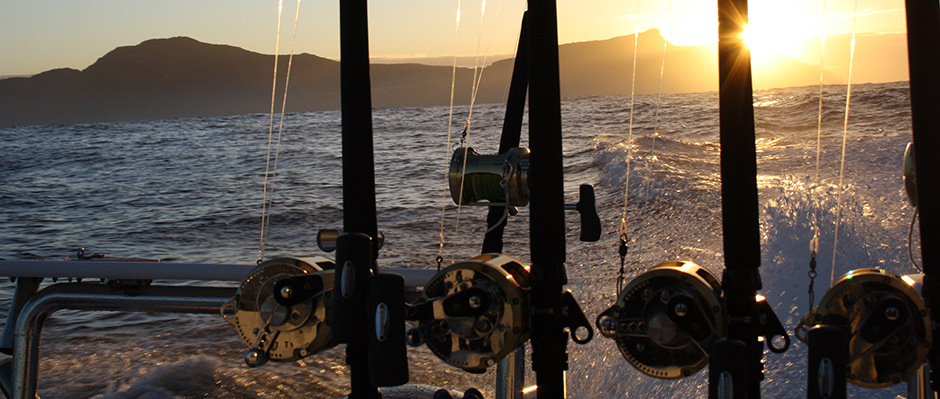 A set of fishing rods set up on the boat, an example of everything provided for fishing in Cape Town by this charter