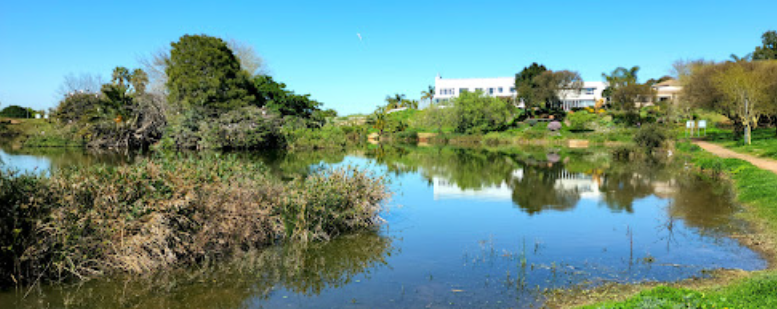 A peaceful dam that is great for fishing in Cape Town