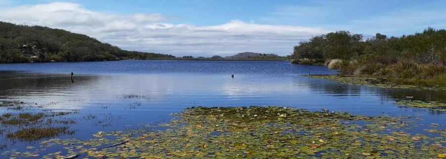 The picturesque Silvermine Dam is a favourite spot for fly fishing in Cape Town