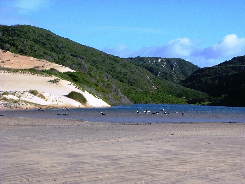 An example of the natural beauty of the Oystercatcher Trail, one of the best trails for backpacking Garden Route has to offer