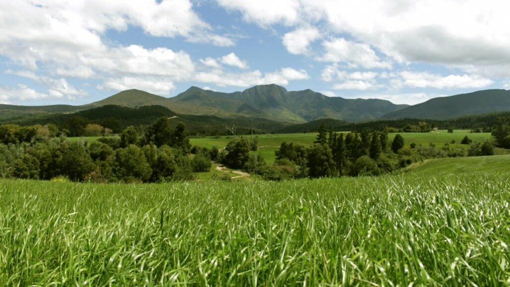 A beautiful view of a wide open field with mountains visible in the distance, just one example of what backpacking Garden Route has to offer